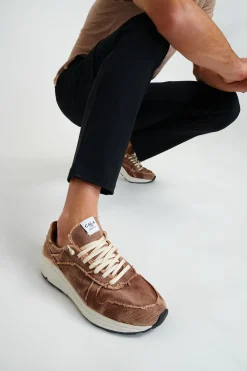 Cala 1789 Baskets homme marron NINO AVELLINO Clearance