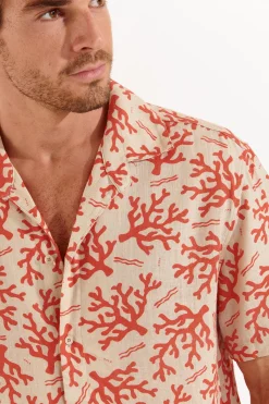 Cala 1789 Chemise corail STEFANO AGORA Sale